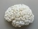 Brain_LeftHemisphere